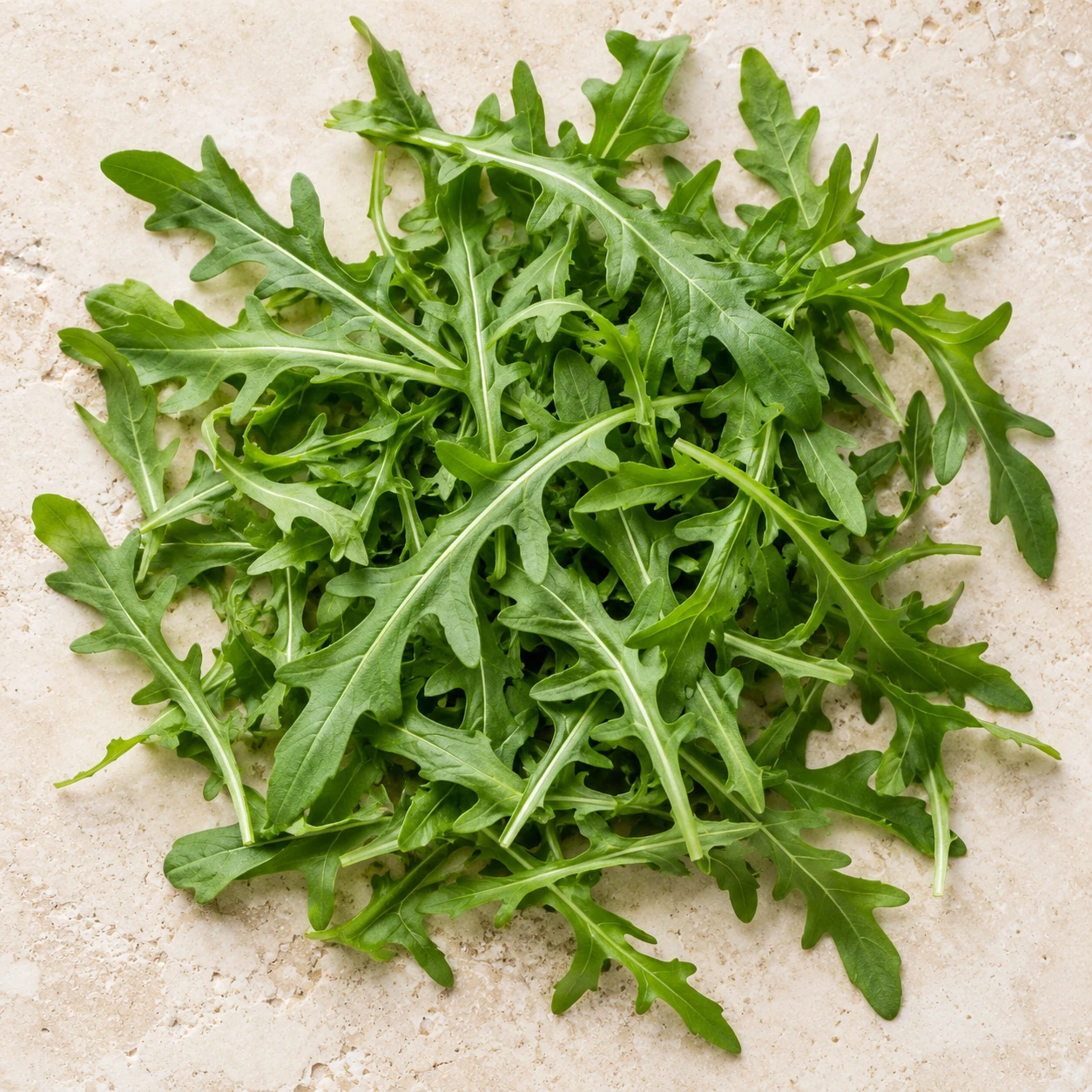 Rucola fresca — immagine illustrativa della linea MADRE NATURA